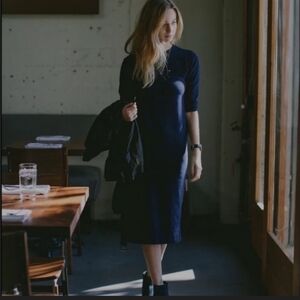 Taylor Stitch Navy Dress